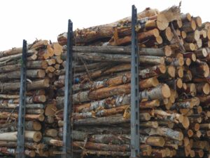 Ence Galicia impone una bajada de tarifas a los transportistas tras la entrada en vigor de las 44 toneladas